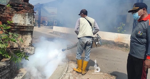 Tren DBD Meningkat, Dinkes Tuban: Fogging Bukan Solusi Utama Atasi Demam Berdarah