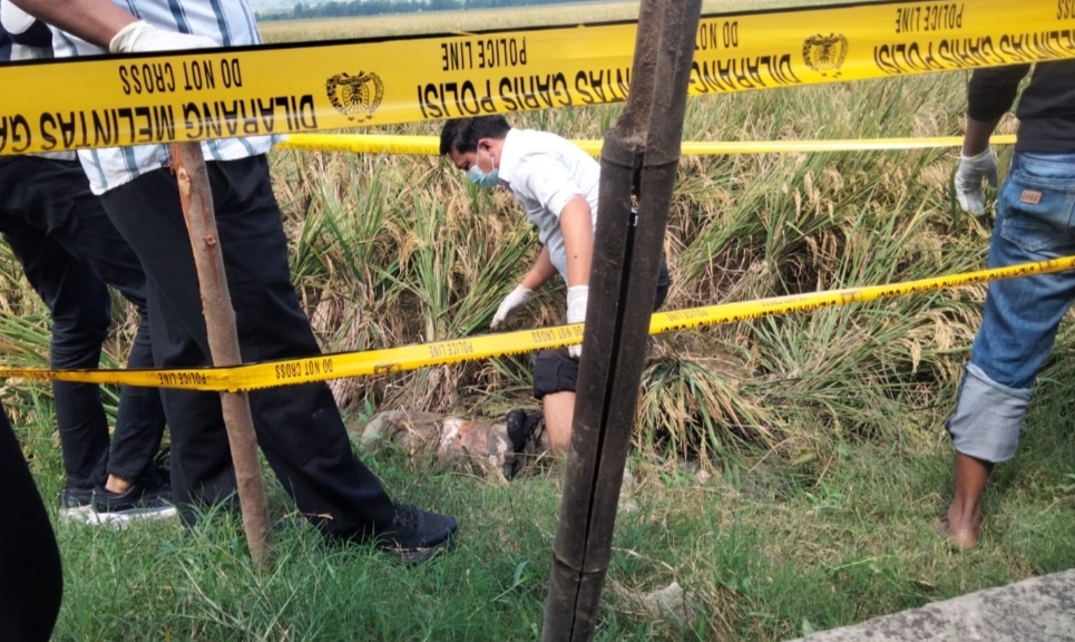 Mayat Misterius di Sawah Tuban, Keluarga Sebut Mirip Perempuan yang Hilang 3 Hari