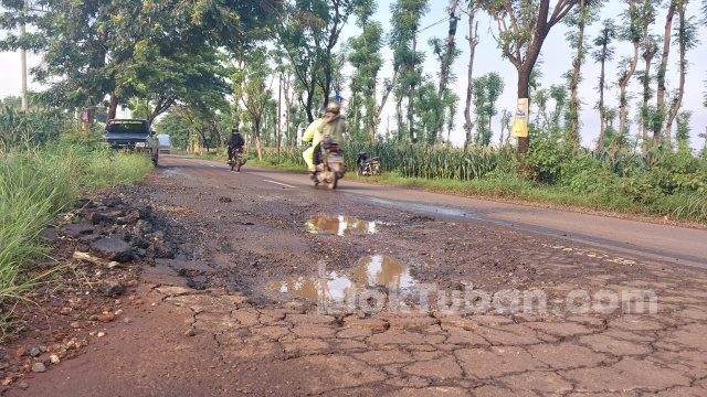Jalan Rusak di Desa Tuwiri Kulon Tuban Banyak Dikeluhkan, Begini Respon Camat Merakurak