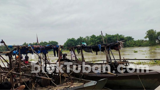 Musim Udikan, Warga Tuban Ramai-ramai Mencari Ikan di Bantaran Bengawan Solo